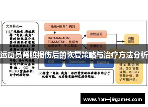 运动员肾脏损伤后的恢复策略与治疗方法分析