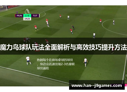 魔力鸟球队玩法全面解析与高效技巧提升方法